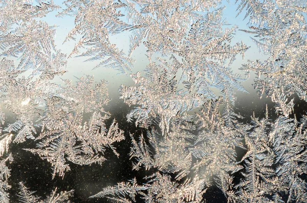 Snöflingor Frost Rime Macro på fönster glasruta — Stockfoto