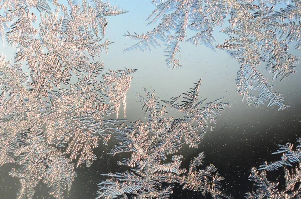 Snöflingor Frost Rime Macro på fönster glasruta — Stockfoto