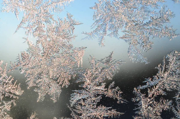 Schneeflocken Frostrime Makro auf Fensterscheibe — Stockfoto