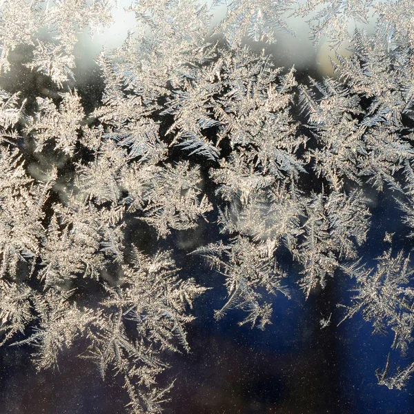 Snöflingor Frost Rime Macro på fönster glasruta — Stockfoto