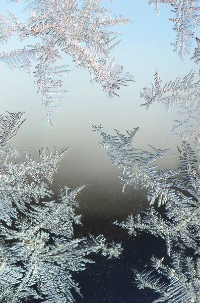 Flocons de neige givre rime macro sur vitre — Photo