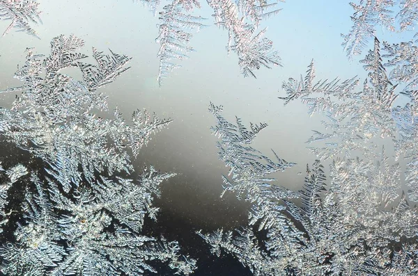 Schneeflocken Frostrime Makro auf Fensterscheibe — Stockfoto