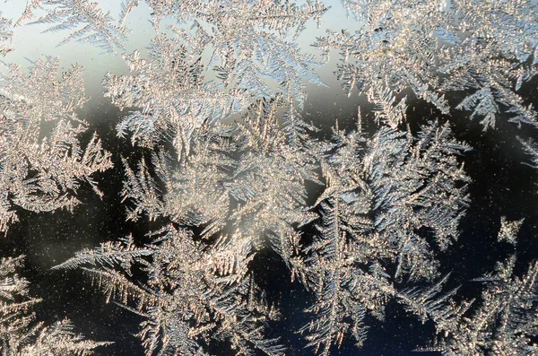 Płatki śniegu Frost Rime makro na okienne szyby — Zdjęcie stockowe