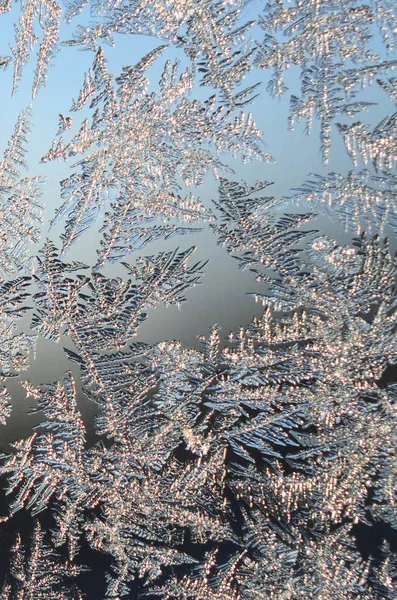 Copos de nieve escarcha rime macro en el cristal de la ventana —  Fotos de Stock