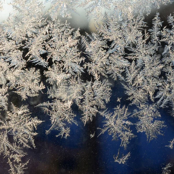 Snowflakes frost rime macro on window glass pane — Stock Photo, Image