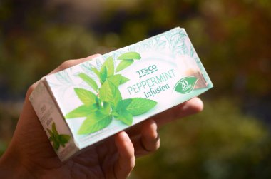 Erkek eliyle Tesco plc 'in naneli çayı.