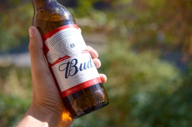 Bir şişe Budweiser Bud birası yeşil ağaçların arka planında erkeğin elinde.