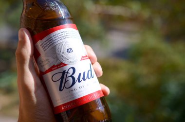 Bir şişe Budweiser Bud birası yeşil ağaçların arka planında erkeğin elinde.
