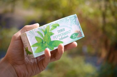 Erkek eliyle Tesco plc 'in naneli çayı.