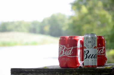 Budweiser Bud bira kutuları eski ahşap masa üzerinde nehir kenarında ve yeşil ağaçlar arka planda