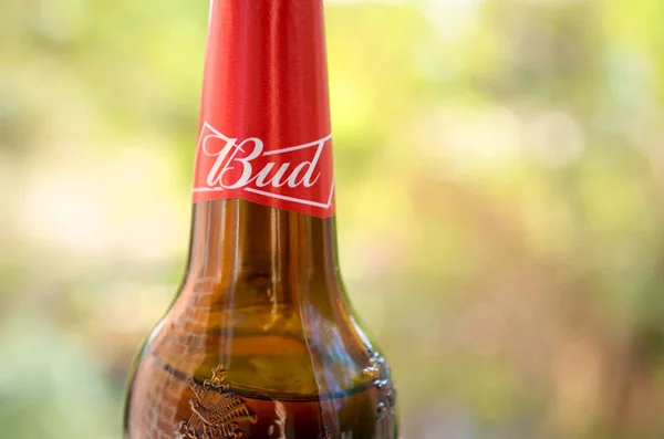 Фрагмент пляшки пива Budweiser Bud на зеленому тлі дерев. — стокове фото
