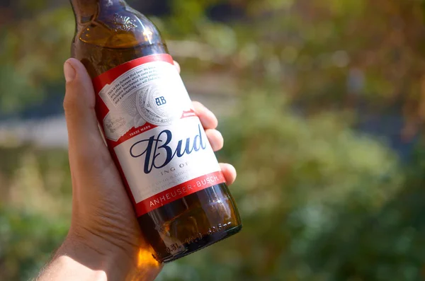 Flasche Budweiser Knospenbier in männlicher Hand auf grünem Baumhintergrund — Stockfoto