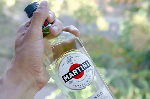Pullo Vermouth Martini Rossi mies kädessä vihreillä puilla tausta — kuvapankkivalokuva
