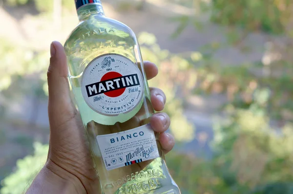 Pullo Vermouth Martini Rossi mies kädessä vihreillä puilla tausta — kuvapankkivalokuva