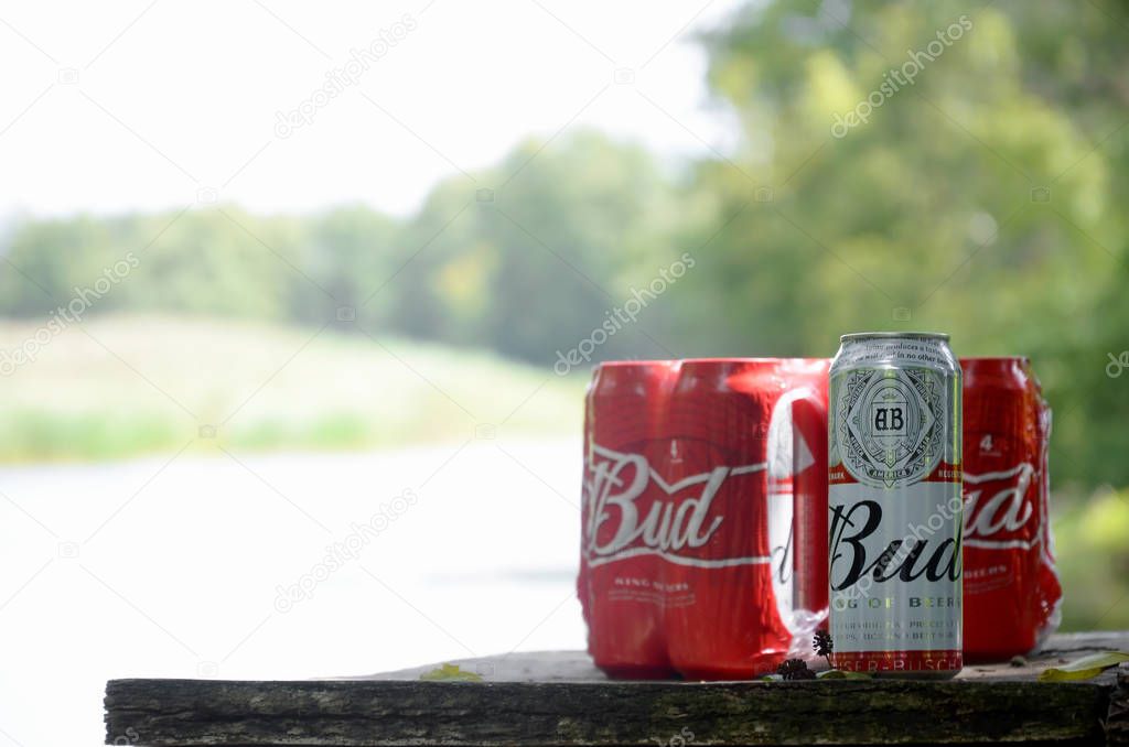 SUMY, UKRAINE - AUGUST 10, 2019: Budweiser Bud beer can on old wooden table outdoors at the river and green trees background. Budweiser is one of the most popular domestic brands in the United States