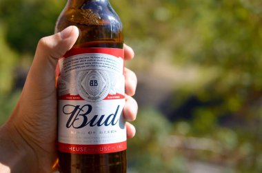 Bir şişe Budweiser Bud birası yeşil ağaçların arka planında erkeğin elinde.