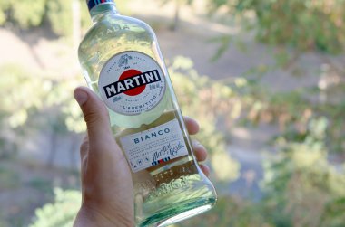 Bir şişe Vermouth Martini Rossi, erkek eli yeşil ağaçların üzerinde.