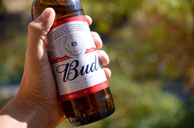 Bir şişe Budweiser Bud birası yeşil ağaçların arka planında erkeğin elinde.