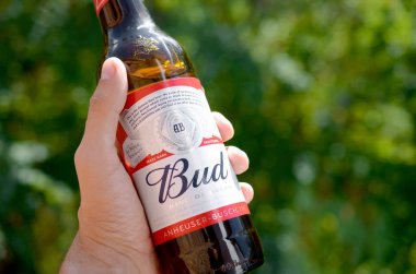Bir şişe Budweiser Bud birası yeşil ağaçların arka planında erkeğin elinde.