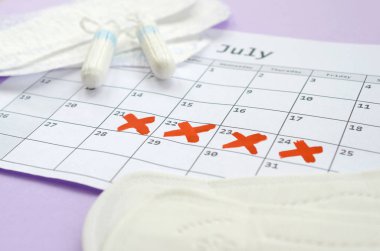 Adet takvimindeki regl pedleri ve tamponlar leylak arka planında kırmızı haç işaretli.