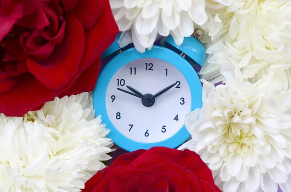 Kleiner süßer blauer Wecker umgeben von roten Rosen und Chrysanthemenköpfen — Stockfoto