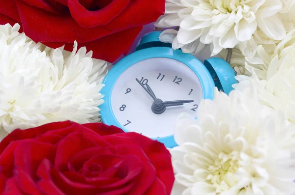 Pequeño reloj despertador azul lindo rodeado de rosas rojas y cabezas de crisantemo — Foto de Stock