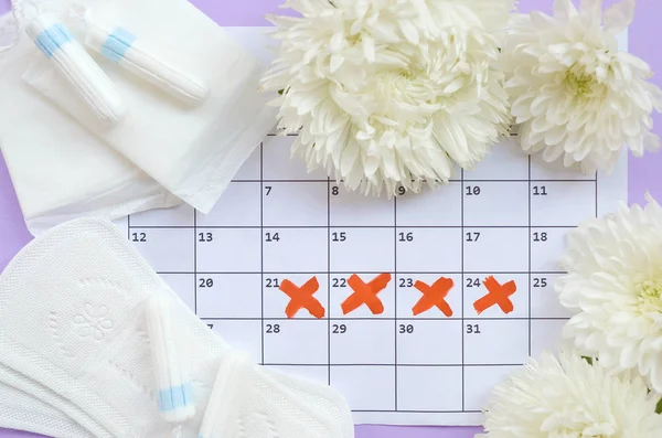 Менструальные прокладки и тампоны на календаре менструации с белыми цветами на сиреневом фоне — стоковое фото