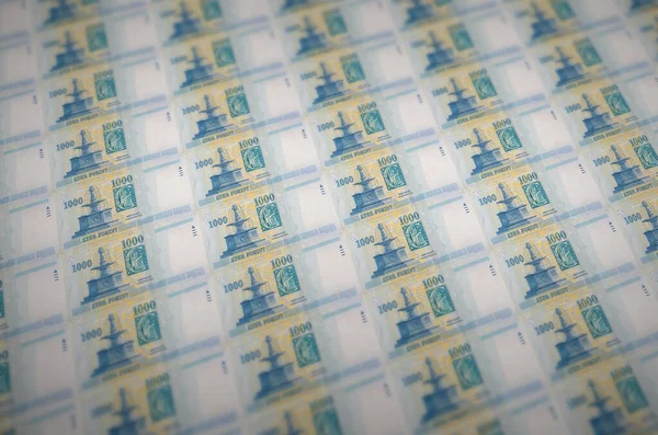 1000 Notas Forint Húngaras Impressas Transportador Produção Dinheiro Ilegal Colagem — Fotografia de Stock