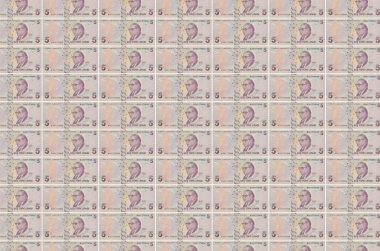 Para üretim konveyöründe 5 Türk lirası basıldı. Bir sürü banknotun kolajı. Para birimi enflasyonu ve devalüasyon kavramı