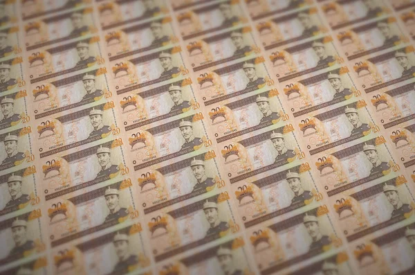 Dominikańskich Banknotów Peso Wydrukowanych Nielegalnym Przenośniku Kolaż Wielu Fałszywych Banknotów — Zdjęcie stockowe