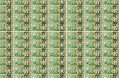 Para üretim taşıyıcısında 20 Kanada Doları basıldı. Bir sürü banknotun kolajı. Para birimi enflasyonu ve devalüasyon kavramı