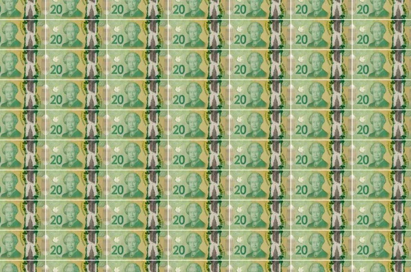 Kanadských Dolarových Bankovek Vytištěných Dopravníku Výrobu Peněz Koláž Mnoha Bankovek — Stock fotografie