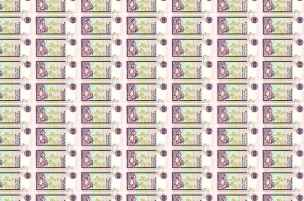 スリランカでは20枚の紙幣が貨幣製造コンベアに印刷されている 多くの請求書のコラージュ 通貨のインフレと切り下げの概念 — ストック写真