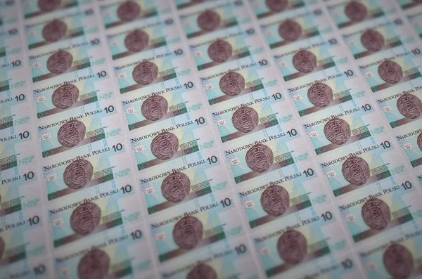 10张波兰兹罗提钞票印在非法货币生产传送机上 许多假钞的拼凑 伪造者的概念 — 图库照片