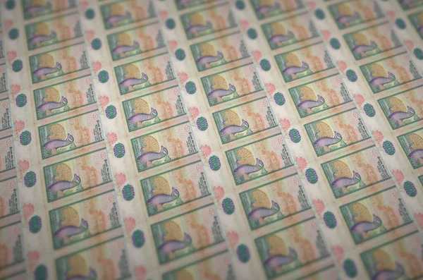 1000 Sri Lankan Rupees Bills Printed Illegal Money Production Conveyor — Stock Photo, Image