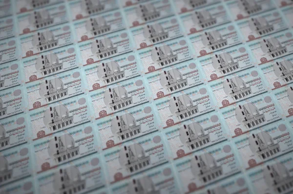 Egyptian Pounds Bills Printed Illegal Money Production Conveyor Collage Many — Stock Photo, Image