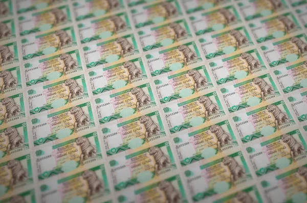 10スリランカは違法資金生産コンベアに印刷された法案を熟読します 多くの偽札のコラージュ 偽造者の大量労働の概念 — ストック写真