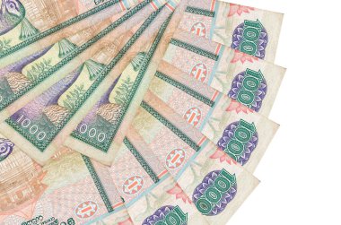 1000 Sri Lanka rupi banknotları beyaz arka planda izole edilmiş, fotokopi alanı da yakın planda. Finansal işlemler kavramı