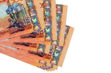 5000 Kazakistan tenge banknotu küçük gruplar halinde ya da beyaz paketler halinde bulunur. Kopyalama alanı olan bir model. İş ve para değişimi kavramı