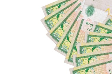 10 Sri Lanka Rupisi banknotları beyaz arka planda fotokopi alanı ile izole bir şekilde duruyor. Zengin yaşam kavramsal geçmişi. Büyük miktarda ulusal para birimi zenginliği