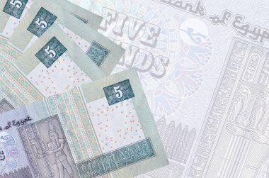 5 Mısır sterlinli banknotlar büyük yarı şeffaf banknotların arka planında duruyor. Kopyalama alanı olan soyut iş arkaplanı