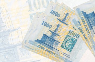 1000 Macar forint banknotu, büyük yarı şeffaf banknotun arka planında duruyor. Ulusal para biriminin soyut sunumu. İş konsepti