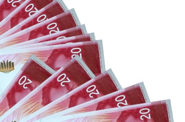 20 İsrailli yeni şekel banknotları beyaz arka planda izole edilmiş, fotokopi alanı da vantilatörde duruyor. Maaş zamanı kavramı veya finansal işlemler
