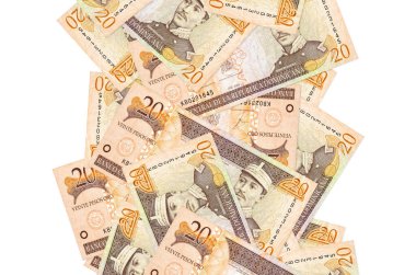 20 Dominik pezosu beyazın üzerinde tek başına uçuyor. Birçok banknot sol ve sağ tarafta beyaz kopya alanı ile düşüyor