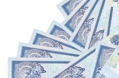 50 Sri Lanka rupisi banknotları beyaza izole edilmiş farklı bir sırayla yatar. Yerel bankacılık ya da para kazanma konsepti. İş arkaplanı afişi