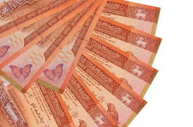 100 Sri Lanka Rupisi banknotları beyaz arka planda izole edilmiş, fotokopi alanı da yakın planda. Finansal işlemler kavramı