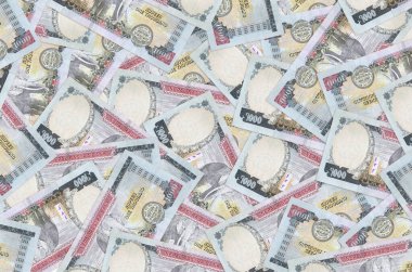 1000 Nepal rupisi büyük bir yığın halinde duruyor. Zengin yaşam kavramsal geçmişi. Büyük miktarda para.