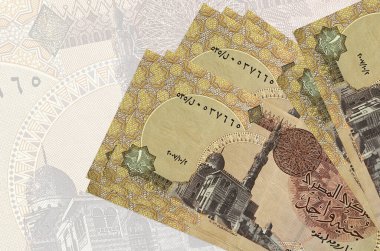 1 Mısır sterlini banknotları büyük yarı şeffaf banknotların arka planında duruyor. Ulusal para biriminin soyut sunumu. İş konsepti
