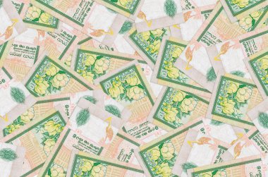 10 Sri Lanka rupisi büyük bir yığın halinde duruyor. Zengin yaşam kavramsal geçmişi. Büyük miktarda para.