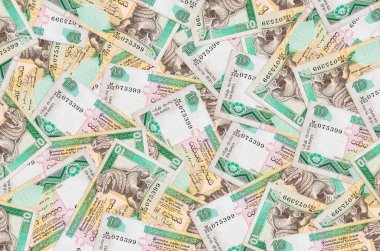 10 Sri Lanka rupisi büyük bir yığın halinde duruyor. Zengin yaşam kavramsal geçmişi. Büyük miktarda para.